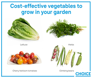 Save%20money%20by%20growing%20your%20own%20vegetbles