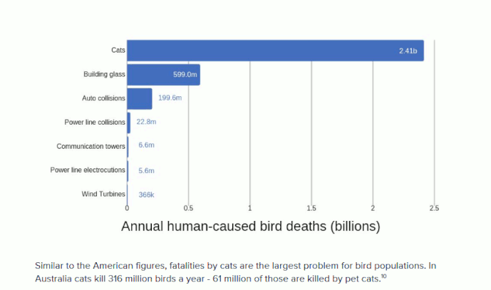 bird-deaths-from-WTGs