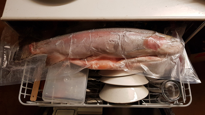 frozen-trout20190120