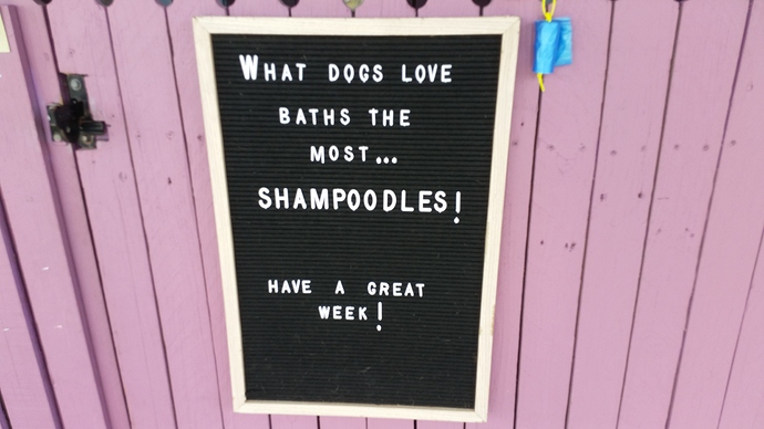 Shampoodles Sign 25.05.2021