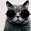 ChrissyCat